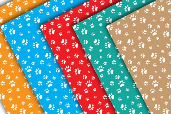 Mockup new-05 Pet Paw Print Digital Paper Creative-067