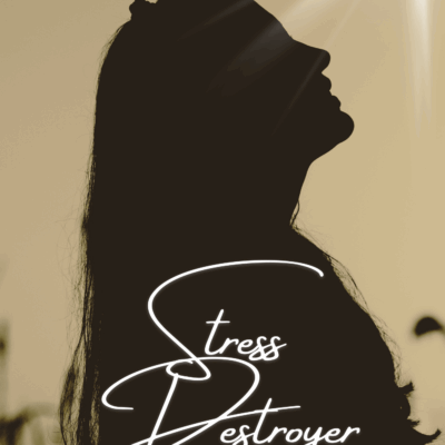 Stress Destroyer