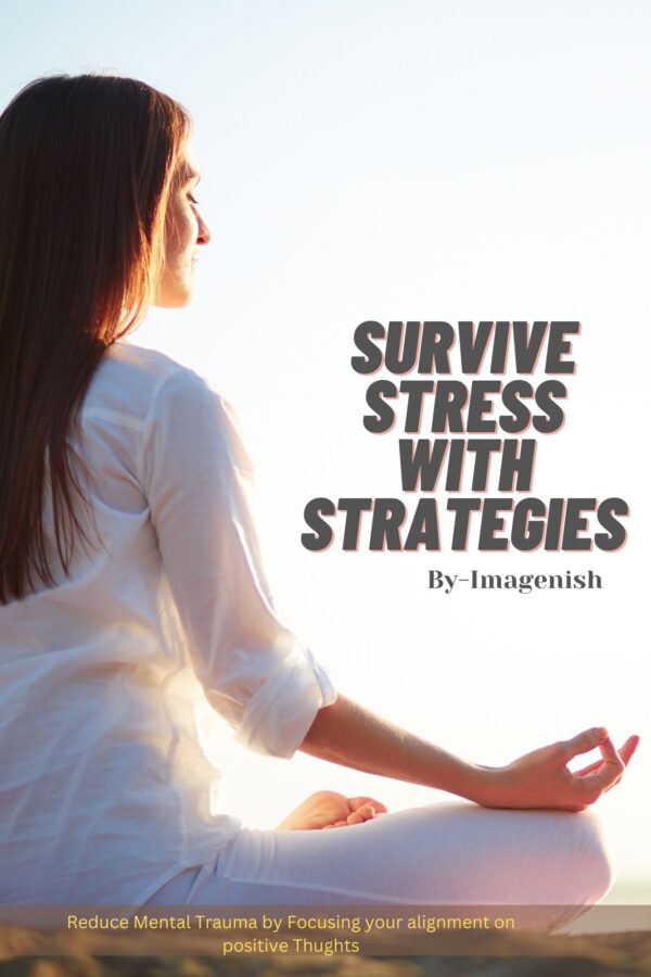 Survive Stress with Strategies