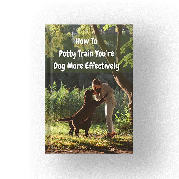 600 How To Potty Train You’re Dog More Effectively