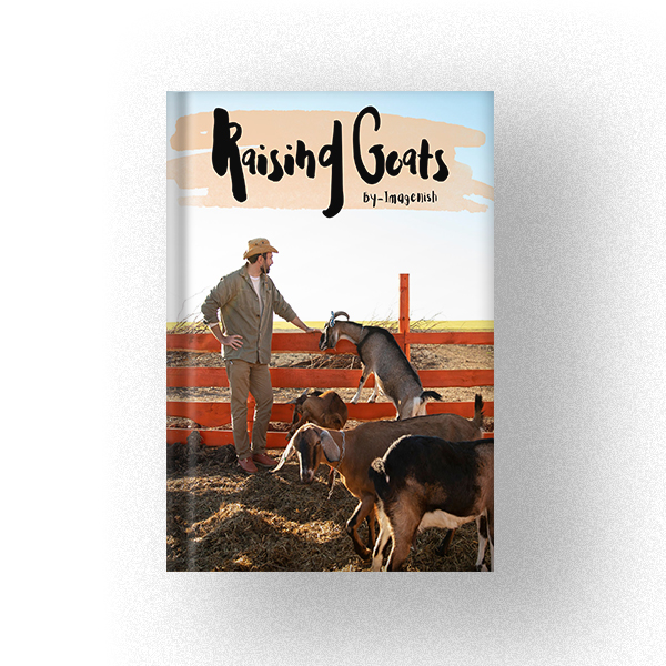 Raising Goats