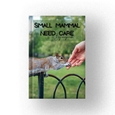 Small Mammal Need Care