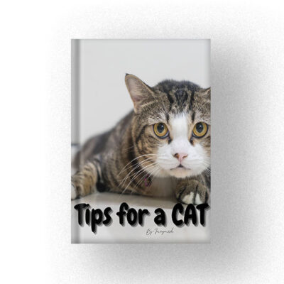600 Tips for a CAT