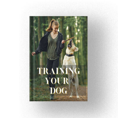 600 Training Your Dog