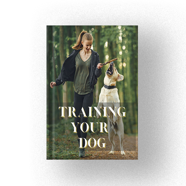 Training Your Dog