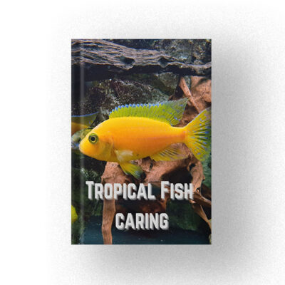 600 Tropical Fish Caring