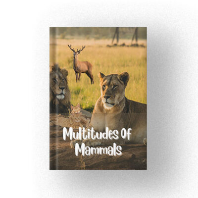 600 Multitudes Of Mammals