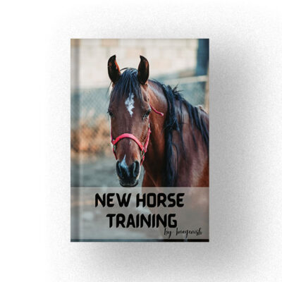 New Horse Training