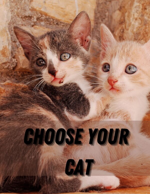 Choose Your Cat