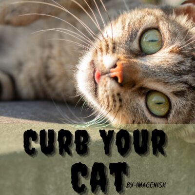 Curb Your Cat