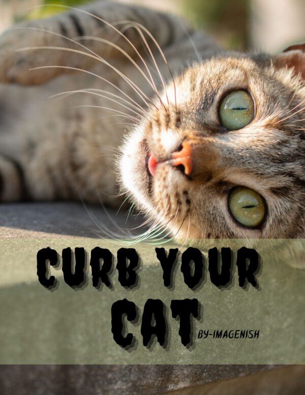 Curb Your Cat