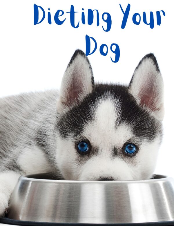 Dieting Your Dog