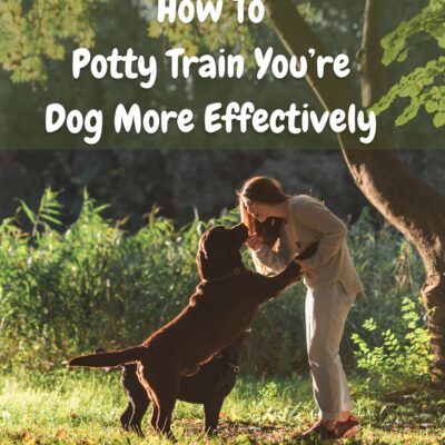 How To Potty Train You’re Dog More Effectively