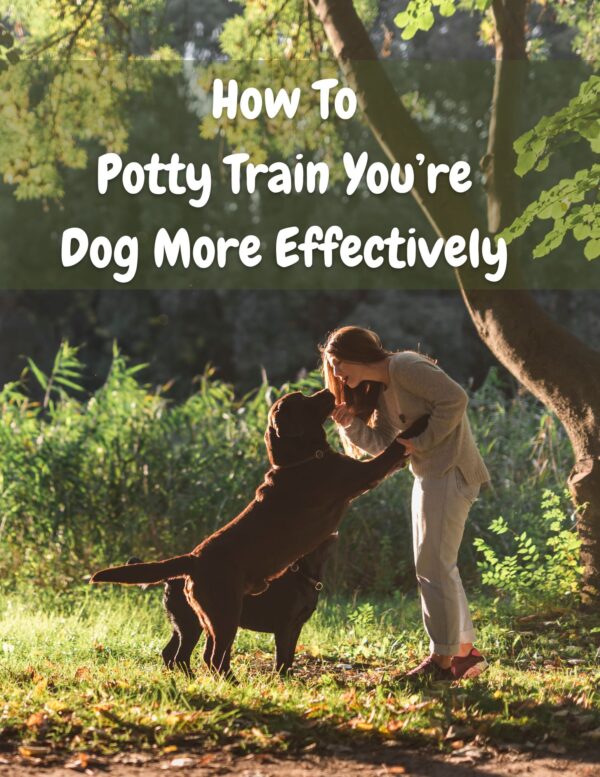How To Potty Train You’re Dog More Effectively
