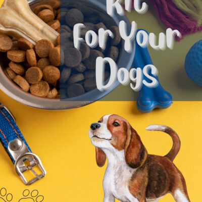 Kit For Your Dogs