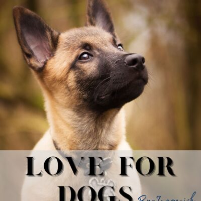 Love for Dogs