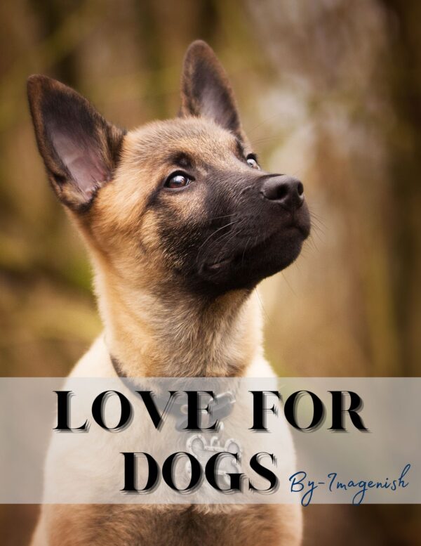 Love for Dogs