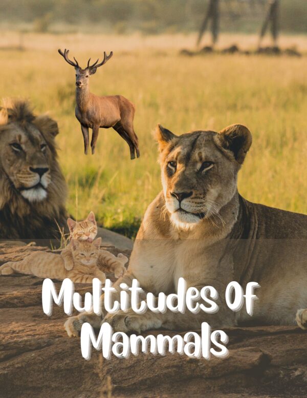 Multitudes Of Mammals