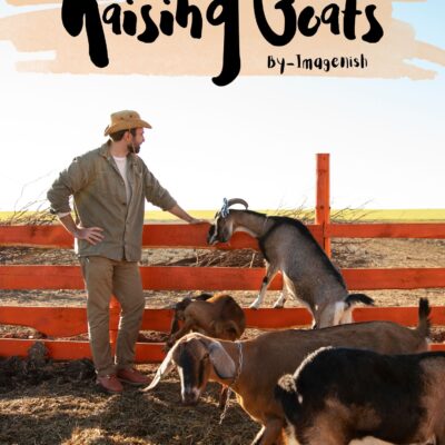 Raising Goats