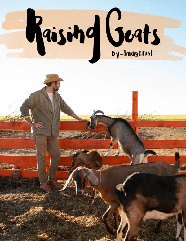 Raising Goats
