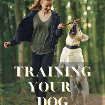 Training Your Dog