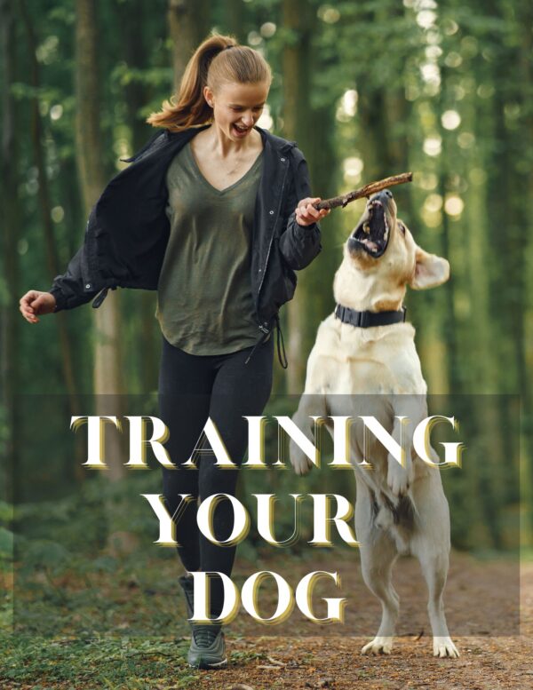 Training Your Dog