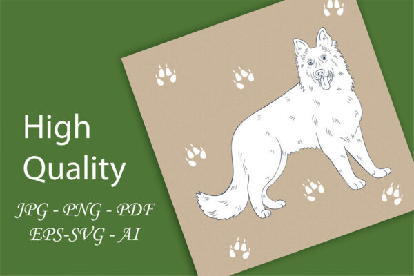 Digital Backgrounds Paper