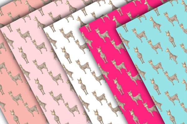 Lllama Alpaca Digital Papers and Cactus Clipart SET, for Scrapbooking, Invitation, Planners, Birthday-010
