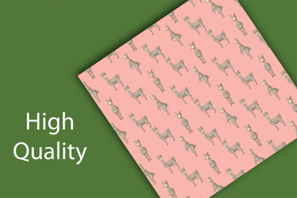 Lllama Alpaca Digital Papers and Cactus Clipart SET, for Scrapbooking, Invitation, Planners, Birthday-010