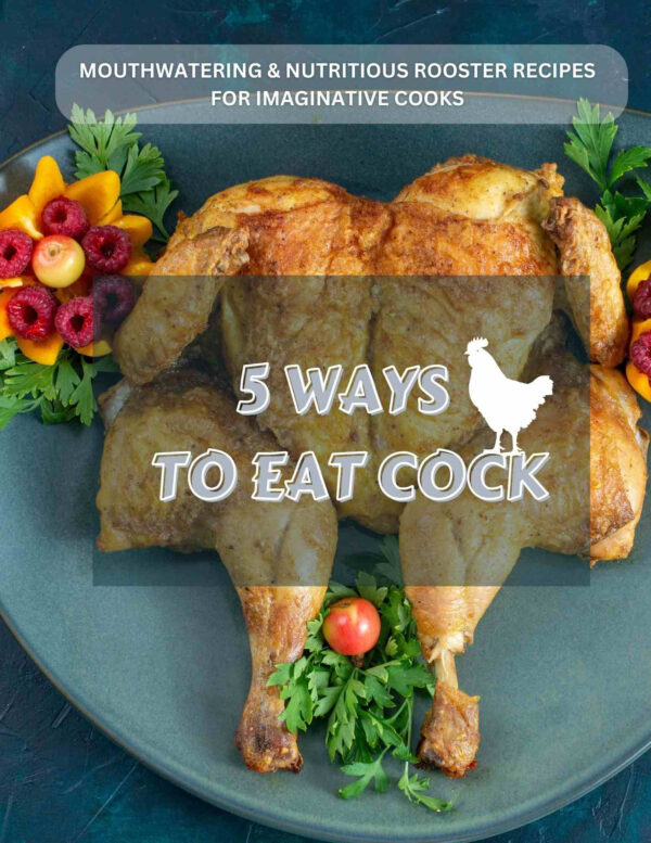 5 WAYS TO EAT COCK