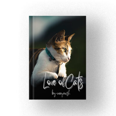 For the love of cats