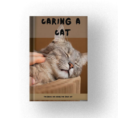 Caring A CAT