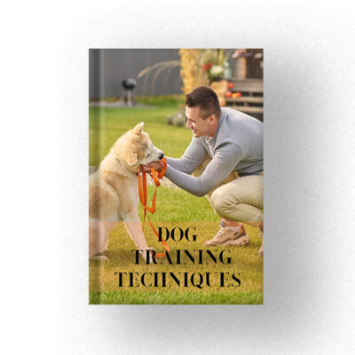 Dog Training Techniques