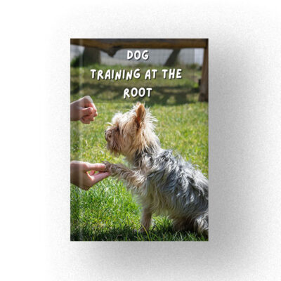 Dog Training at the Root
