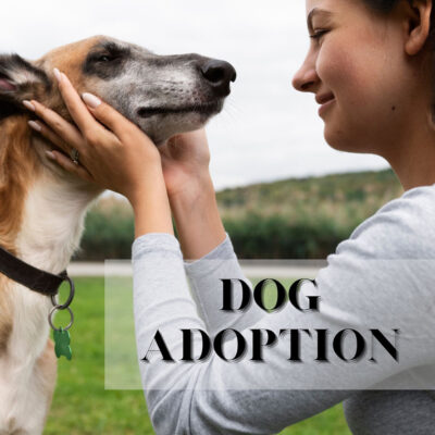 Dog Adoption