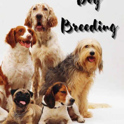 Dog Breeding