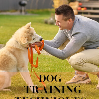 Dog Training Techniques