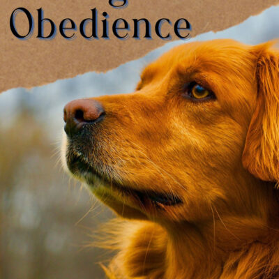 Dog Obedience