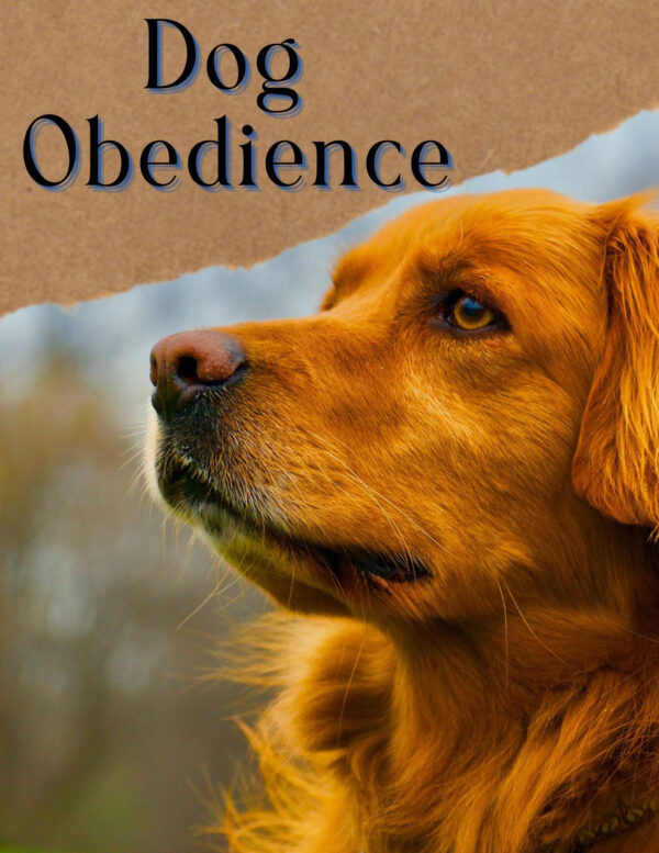 Dog Obedience