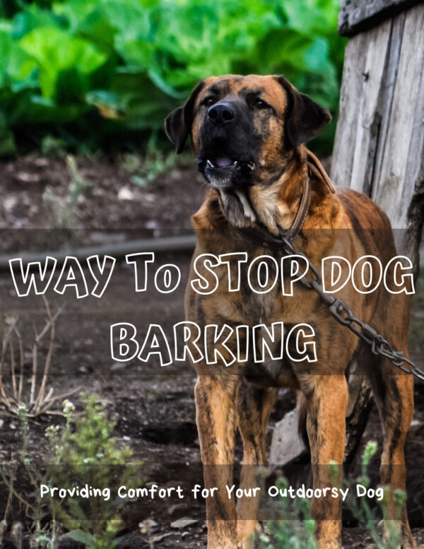 WAY To STOP DOG BARKING
