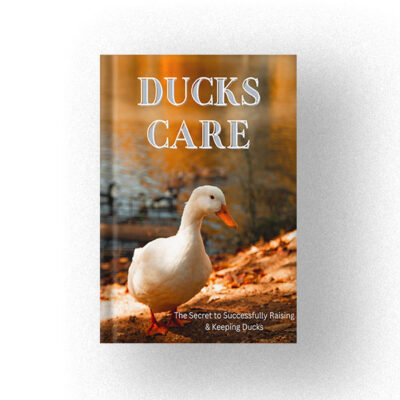 Ducks Care