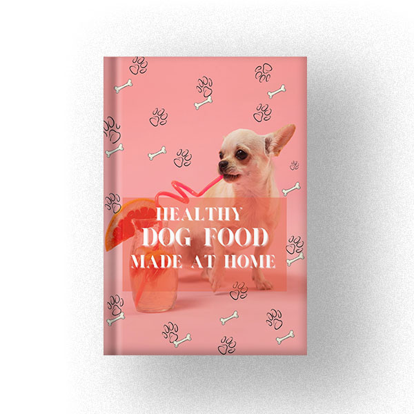 600 HEALTHY DOG FOOD MADE AT HOME