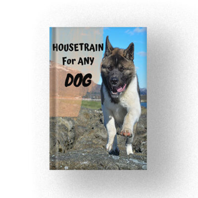 600 HOUSETRAIN For ANY DOG