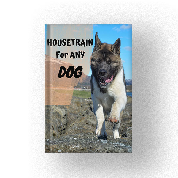 HOUSETRAIN For ANY DOG