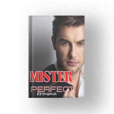 600 MISTER PERFECT