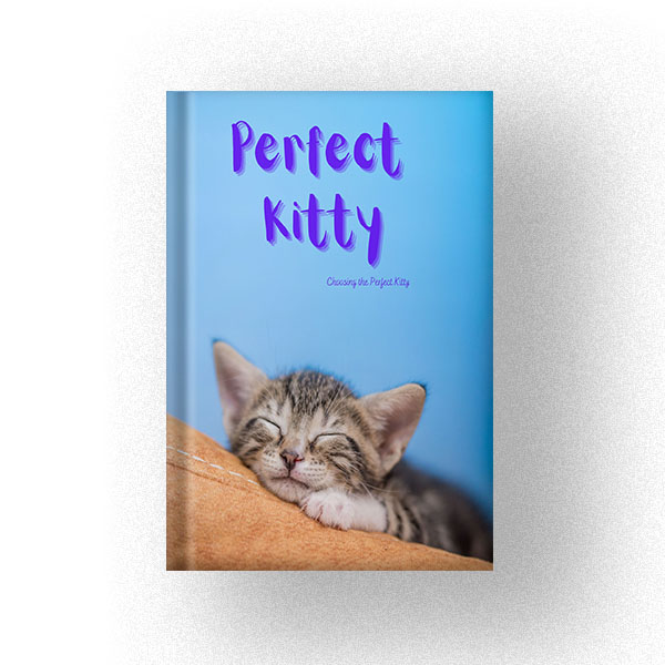 600 Perfect Kitty