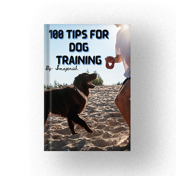 600 100 Tips for Dog Training