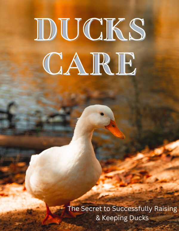 Ducks Care