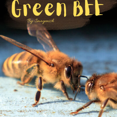 Green BEE!
