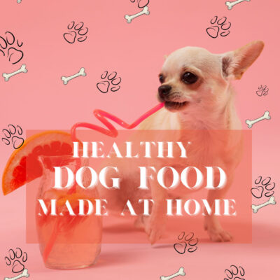 HEALTHY DOG FOOD MADE AT HOME